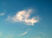 DSCN2195