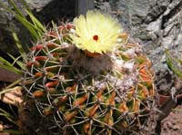 Botanical Garden - 09