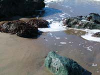 DSCN1304
