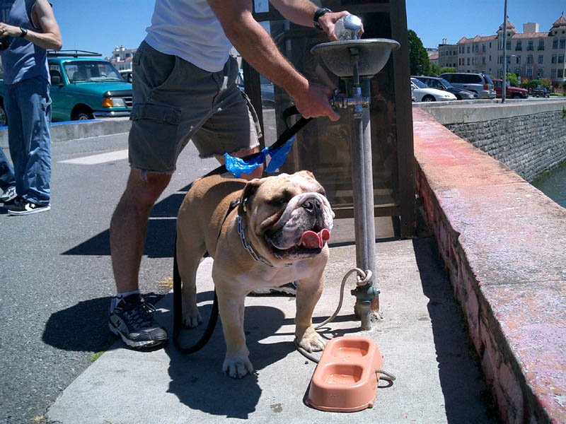 Photo Walk - Others - 05