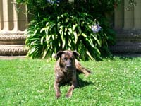 Photo Walk - Others - 06