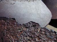 Photo Walk - Others - 11