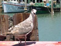 Photo Walk - Others - 15