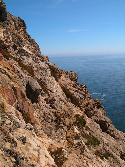 DSCN0050