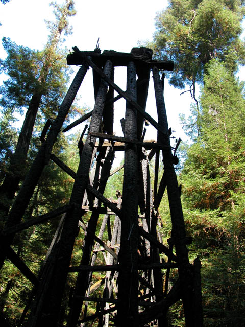 Roaring Camp - 04