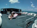 Boat - 8