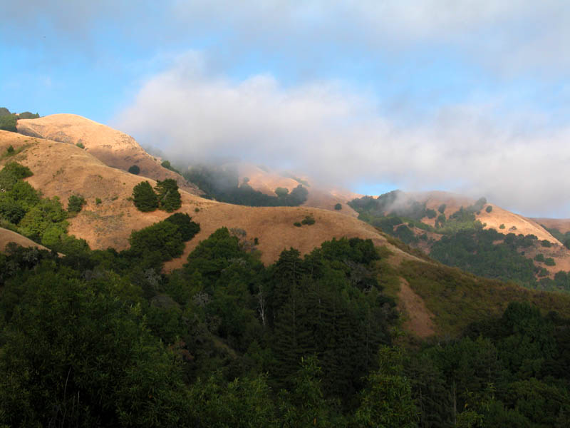 BigSur2003 - 19