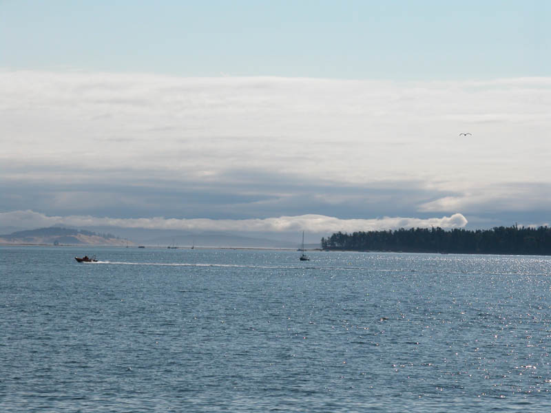 San Juan Islands - 29